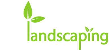Pro Landscaping Services & Designs