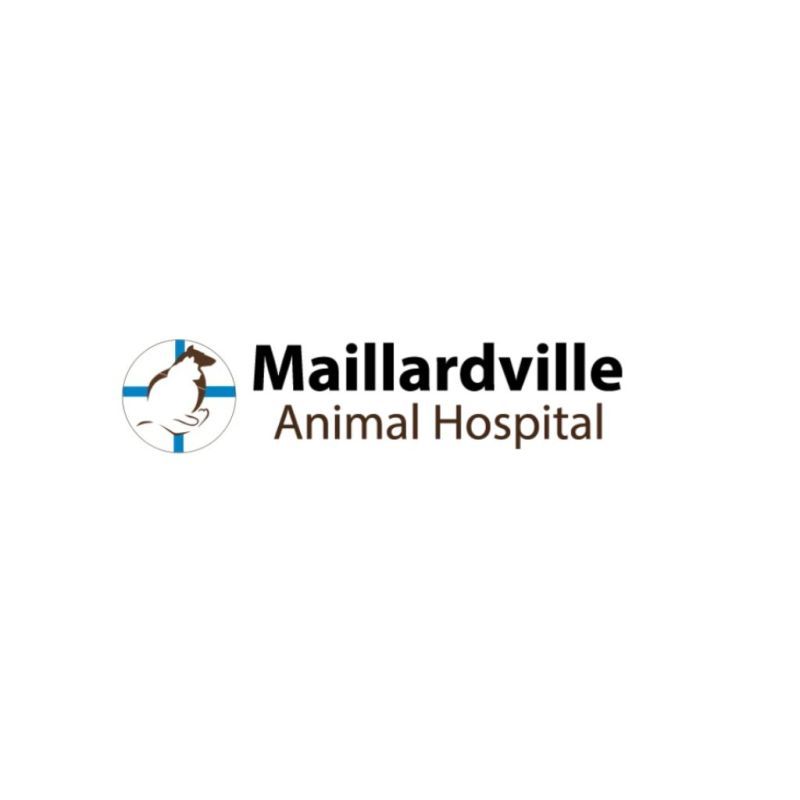 Maillardville Animal Hospital