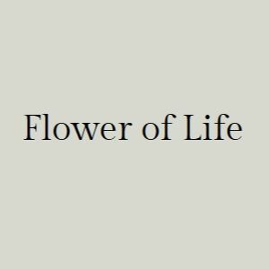 Flower Of Life