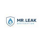 Mr. Leak - Water Damage Restoration