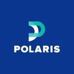 Polarisgrids