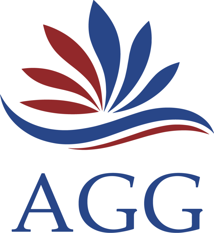 AGG Lifesciences & Safety Solutions LLP