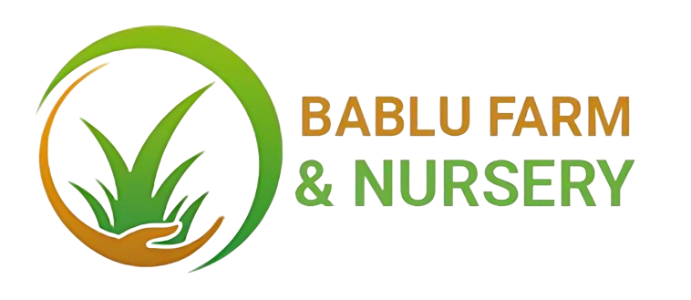 Bablu Farm And Nursery