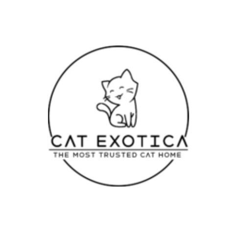 Cat Exotica