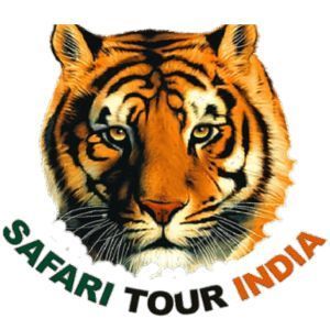 Safari Tour India