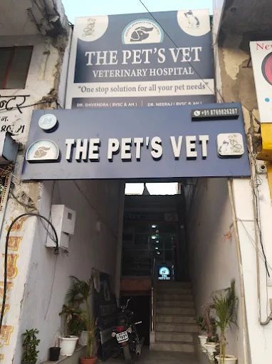 Pets Vet