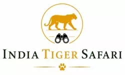 India Tiger Safari