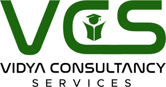 Vidya Consultancy Services