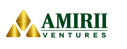 Amirii Ventures