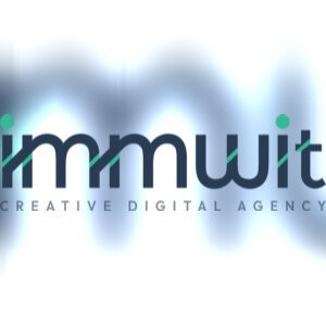 IMM Web Information Technology