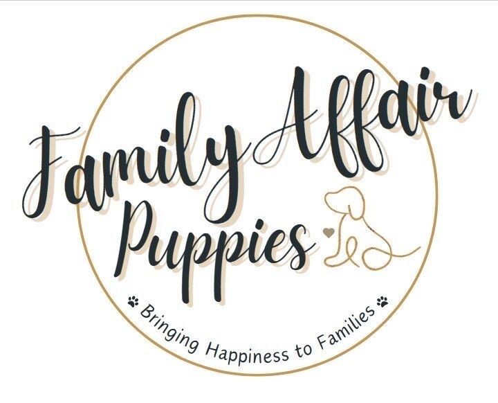 Family Affair Puppies