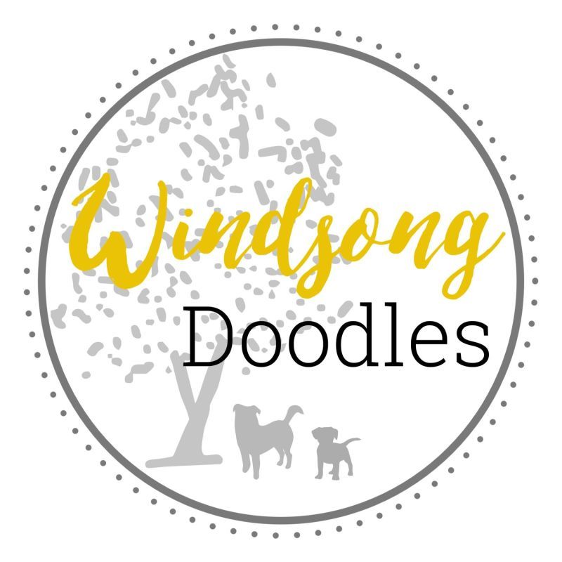 Windsong Doodles LLC
