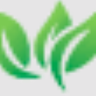 Williams Landscaping & Decks