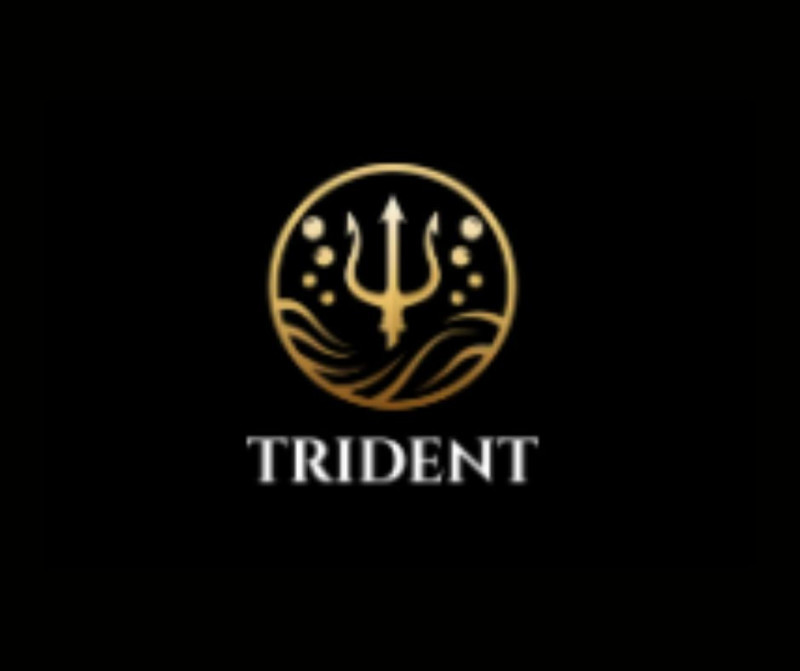 Trident Cleaning Pros
