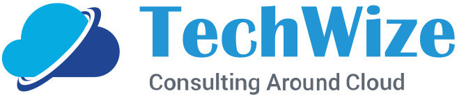 Techwize Marketing