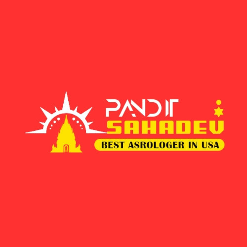 Astrologer Pandit Sahadev Negative Energy Removal Expert