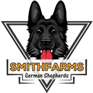 SmithFarms German Shepherds