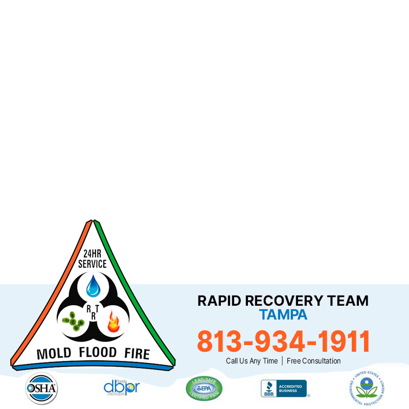 Rapid Recovery Team Tampa
