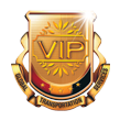 VIP CONNECTION