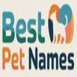 Best Pet Names