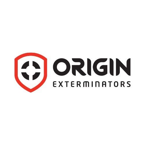 Orgin Orgin
