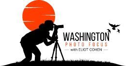 Washington Photo Focus