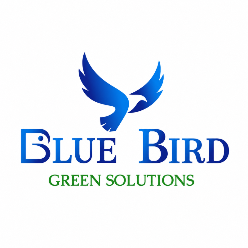 BlueBirdGreenSolution. Seo Marketing