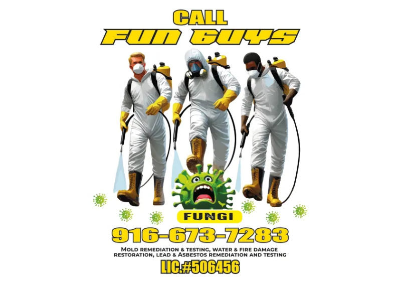 Funguys