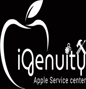 Igenuity Apple Service
