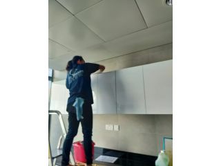 window-cleaning-services-small-1