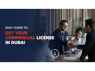 commercial-license-in-dubai-requirements-and-differences-small-0