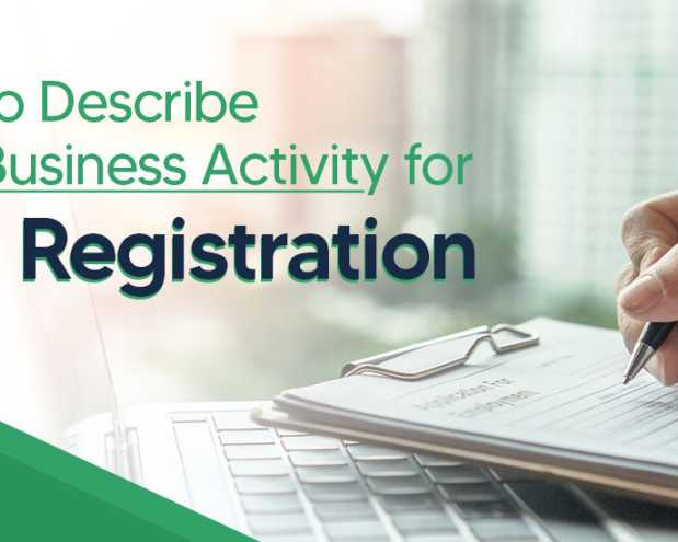 business-activity-description-for-vat-registration