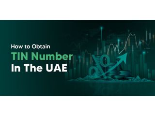 how-to-obtain-a-tin-number-in-the-uae-small-0