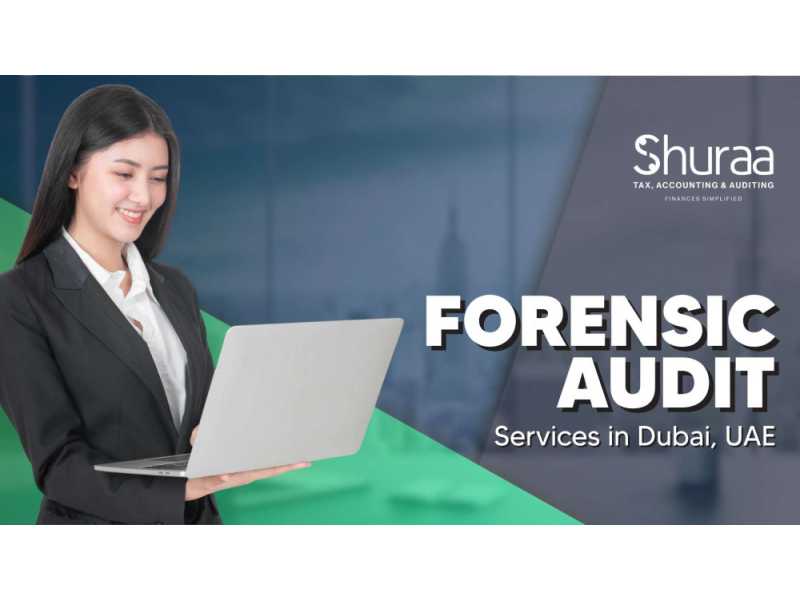forensic-audit-services-in-dubai-uae-small-0