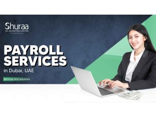 how-to-choose-the-best-payroll-services-in-dubai-small-0