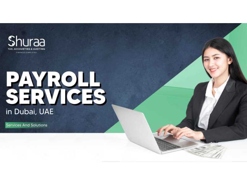 how-to-choose-the-best-payroll-services-in-dubai-small-0