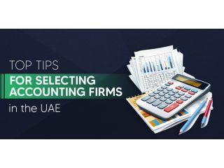 how-to-choose-the-right-accounting-services-in-the-uae-small-0