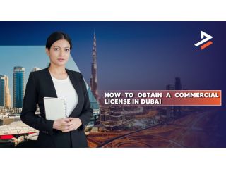 uae-commercial-license-cost-in-dubai-a-complete-guide-small-0