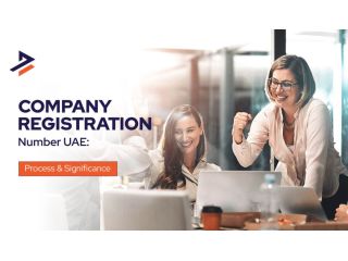 how-to-obtain-a-dubai-company-registration-number-for-your-business-small-0