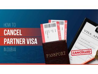 how-to-cancel-a-partner-visa-in-dubai-small-0