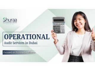 operational-audit-service-in-dubai-uae-small-0
