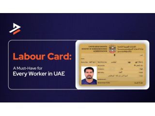how-to-get-labour-card-uae-dubiz-small-0