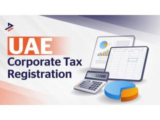 trn-number-uae-meaning-registration-process-benefits-small-0
