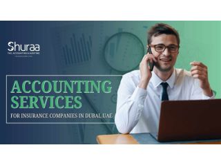 accounting-services-for-insurance-companies-in-dubai-uae-small-0