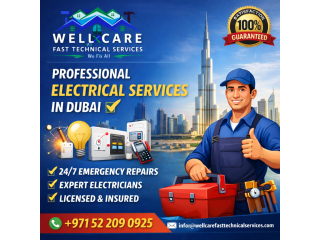 professional-electrical-services-small-0