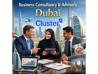business-advisory-for-growth-and-scaling-dubai-small-0