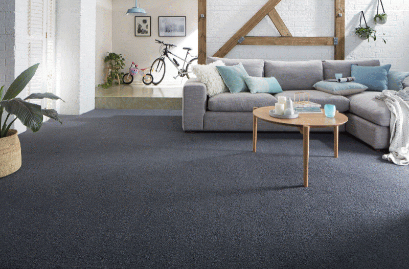 carpet-hub-big-0