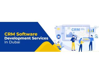 crm-software-development-services-in-dubai-small-0