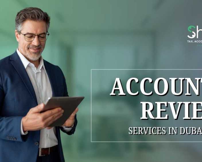 expert-accounts-review-services-to-improve-financial-accuracy