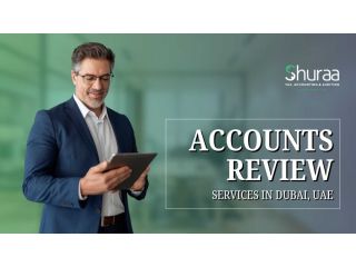 expert-accounts-review-services-to-improve-financial-accuracy-small-0
